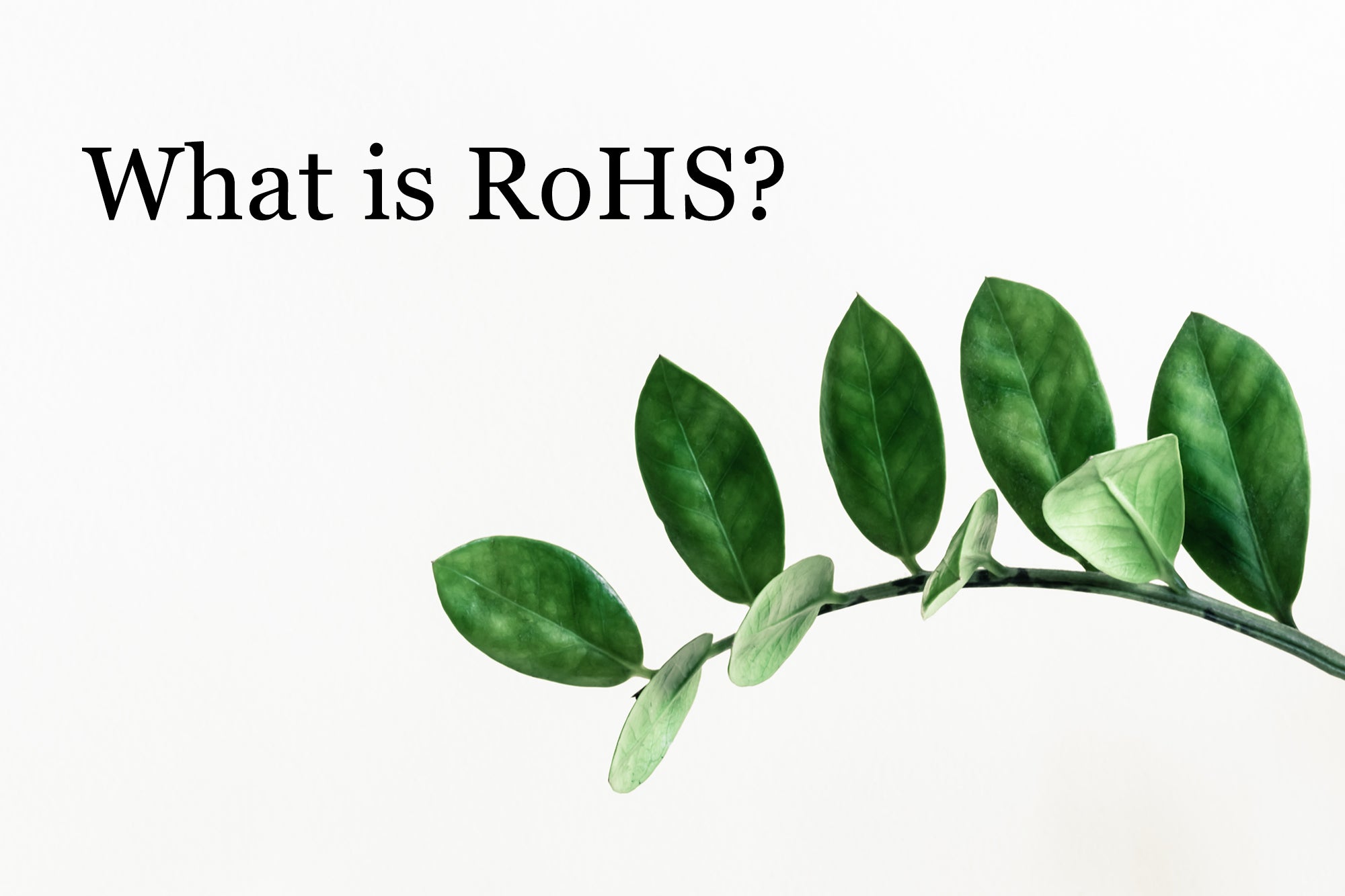 What is RoHS compliance?